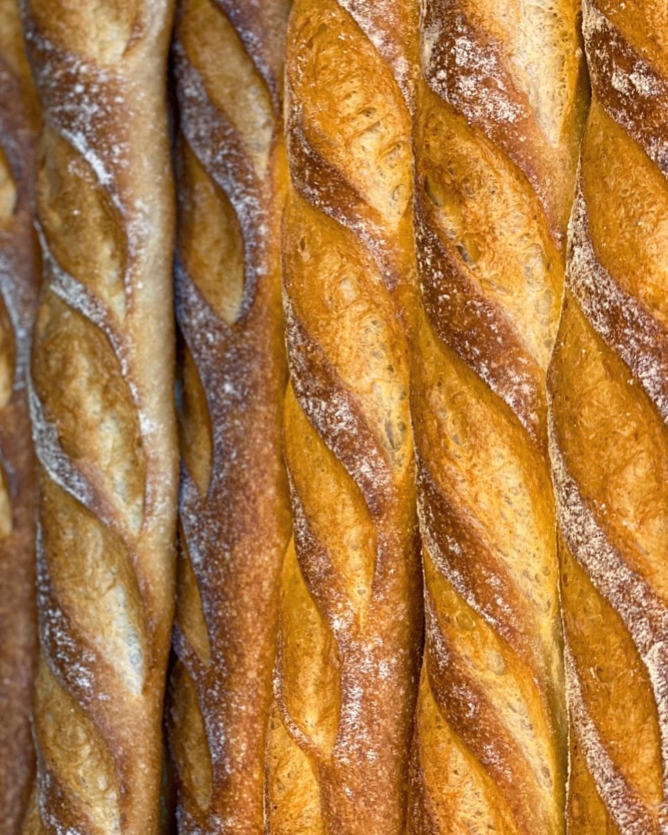 Gallery Spiga Bakery in Bellmore Long Island, NY